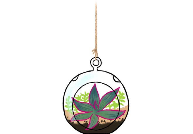 Hanging terrarium