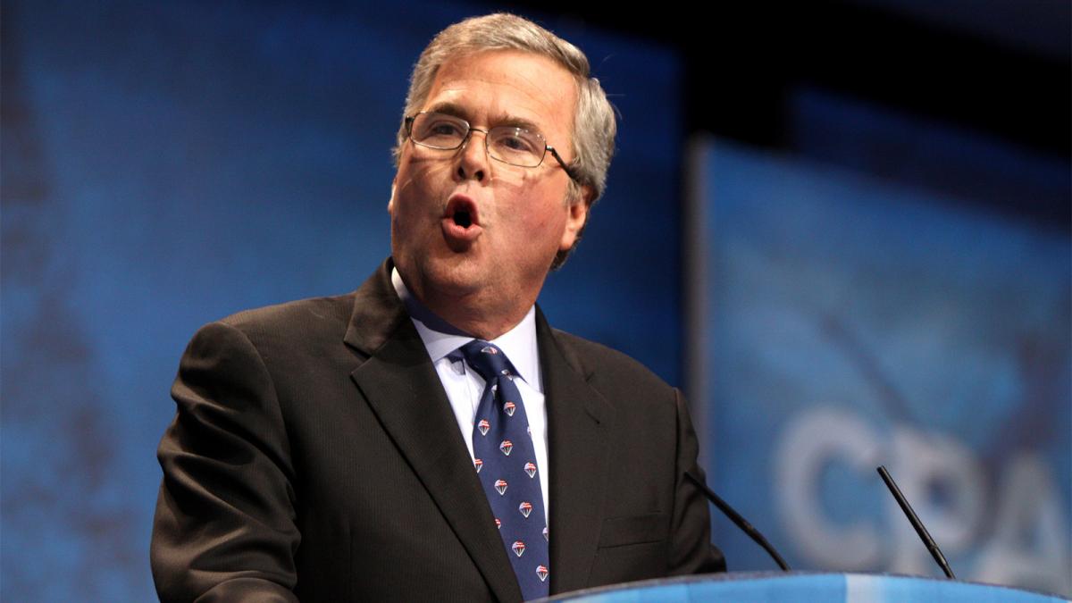 Jeb Bush