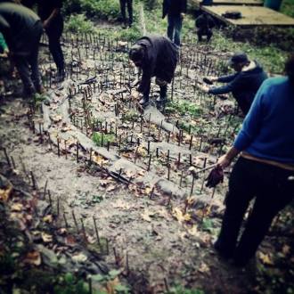 mushroom people working