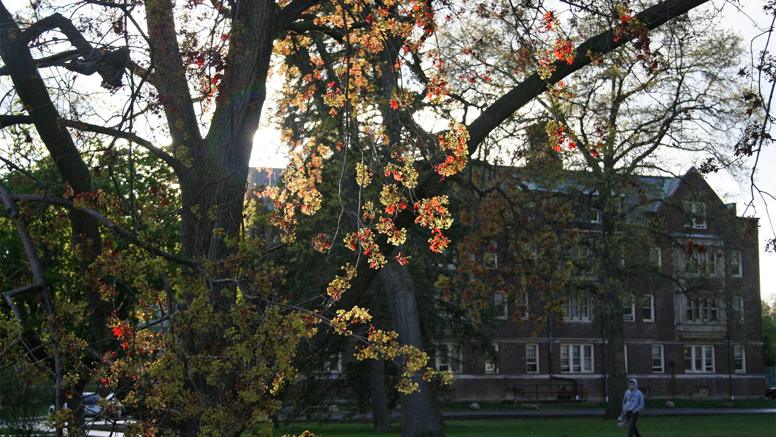 Vassar College