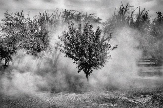 Learn more about photographer Matt Black's project documenting the communities affected by the California drought.