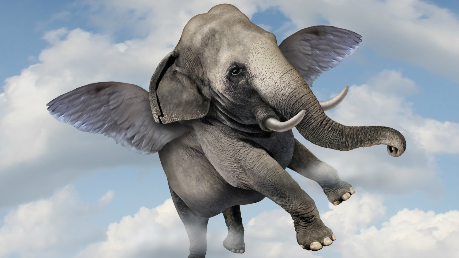 flying elephant