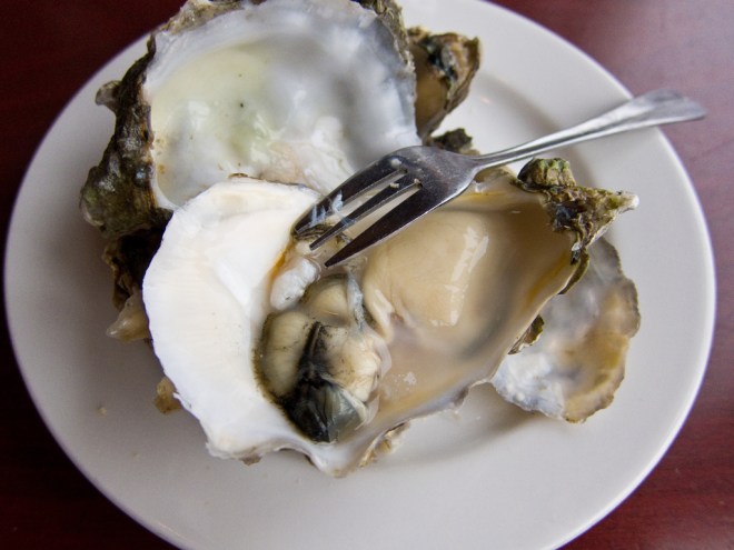 Seattle oysters