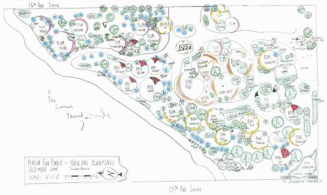 The lower portion of the food forest's two-acre "phase one." 