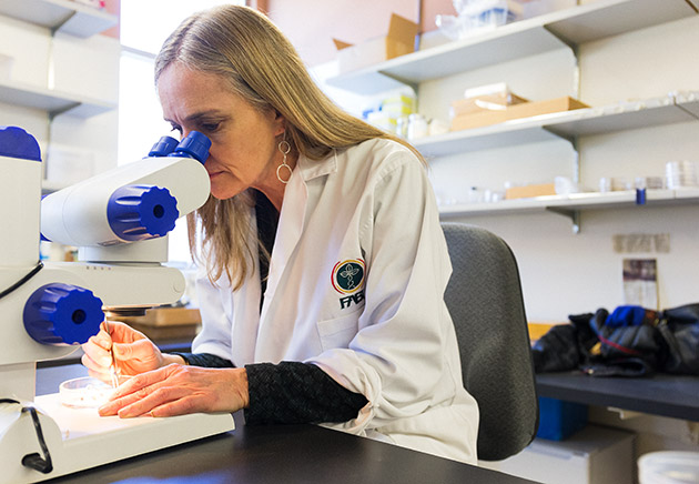 Diana Six in her lab at the University of Montana.