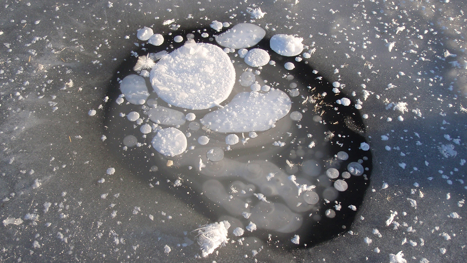 Frozen methane bubbles