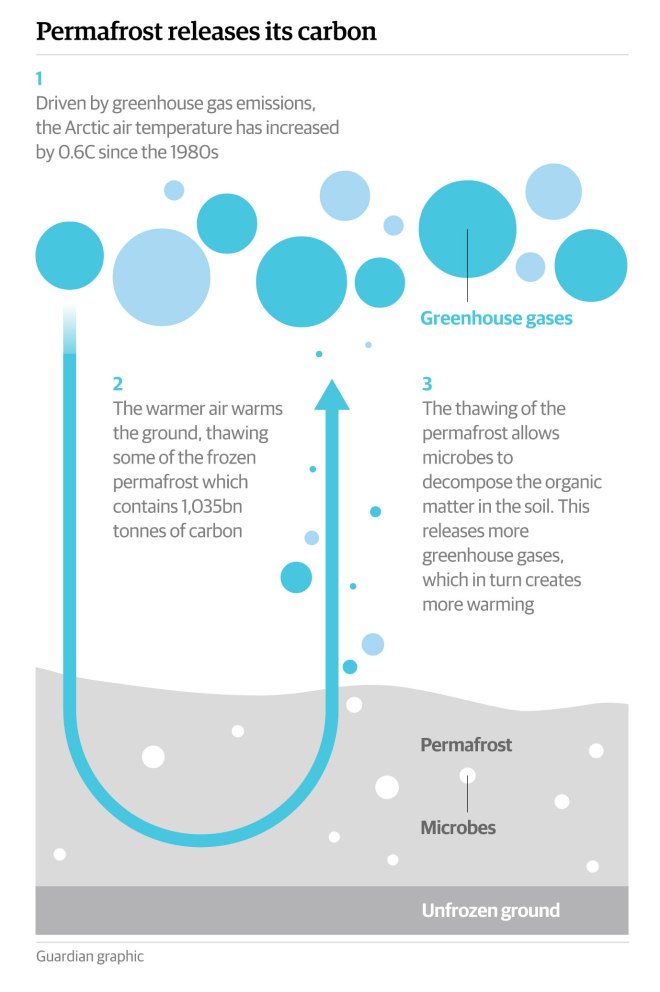 permafrost