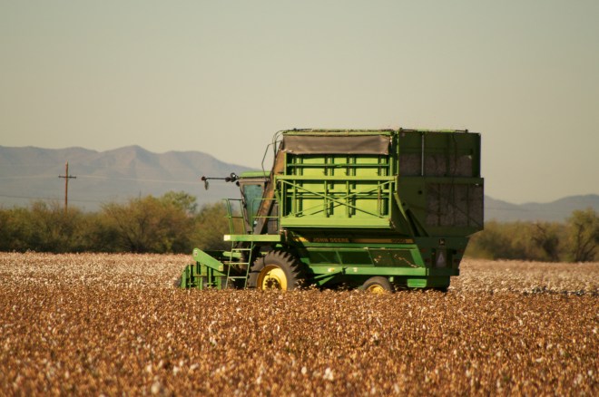 Marana, AZ.