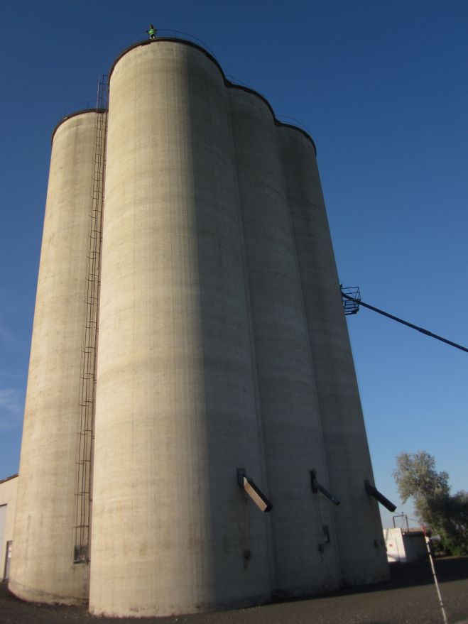 Sam atop a grain silo somewhere on Lind-Ralston Road