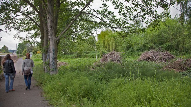 The "Scary Street" runs parallel to busy Highway 99. 