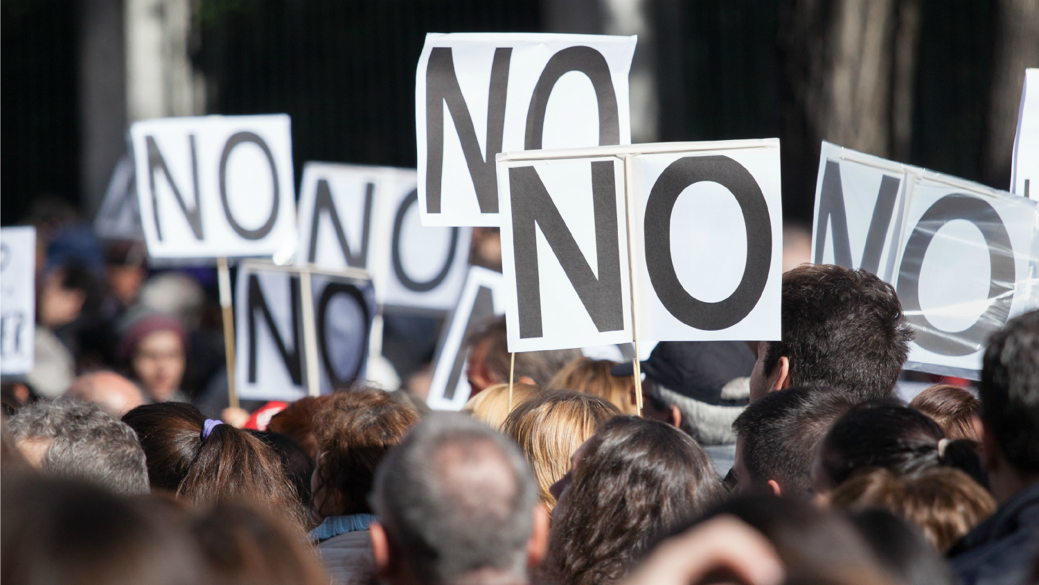 protesters holding 