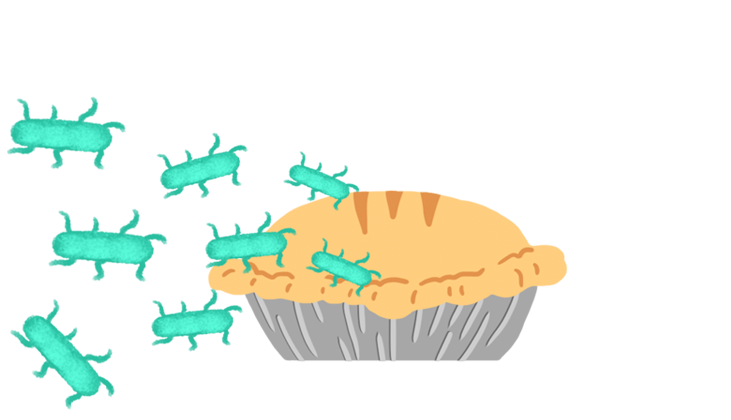 Drawing: Pot pie crawling with salmonella