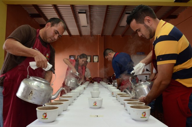 A quality control coffee cupping at the Cocafelol cooperative in Honduras