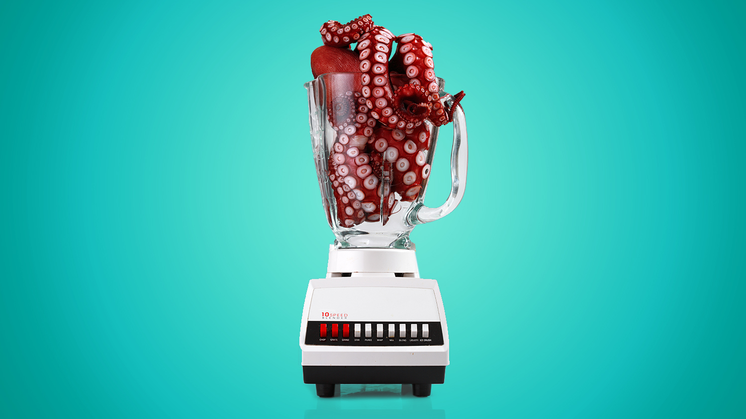 Octopus in a blender