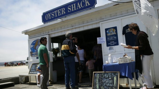 oystershack