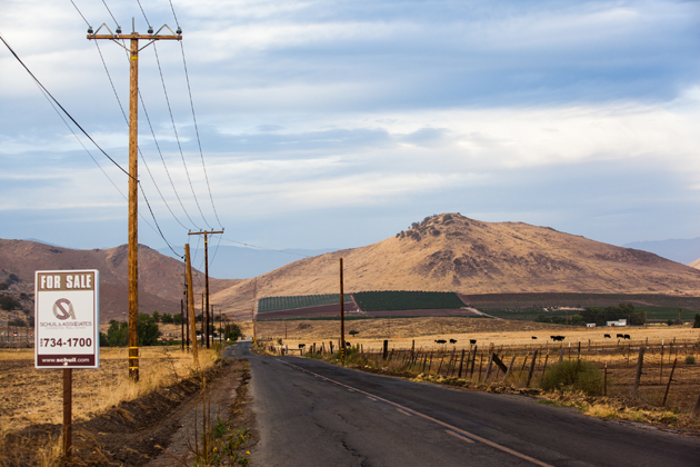 Despite fallowing farmland because of the drought, Tulare County continues to lead the nation in sales of agricultural products.