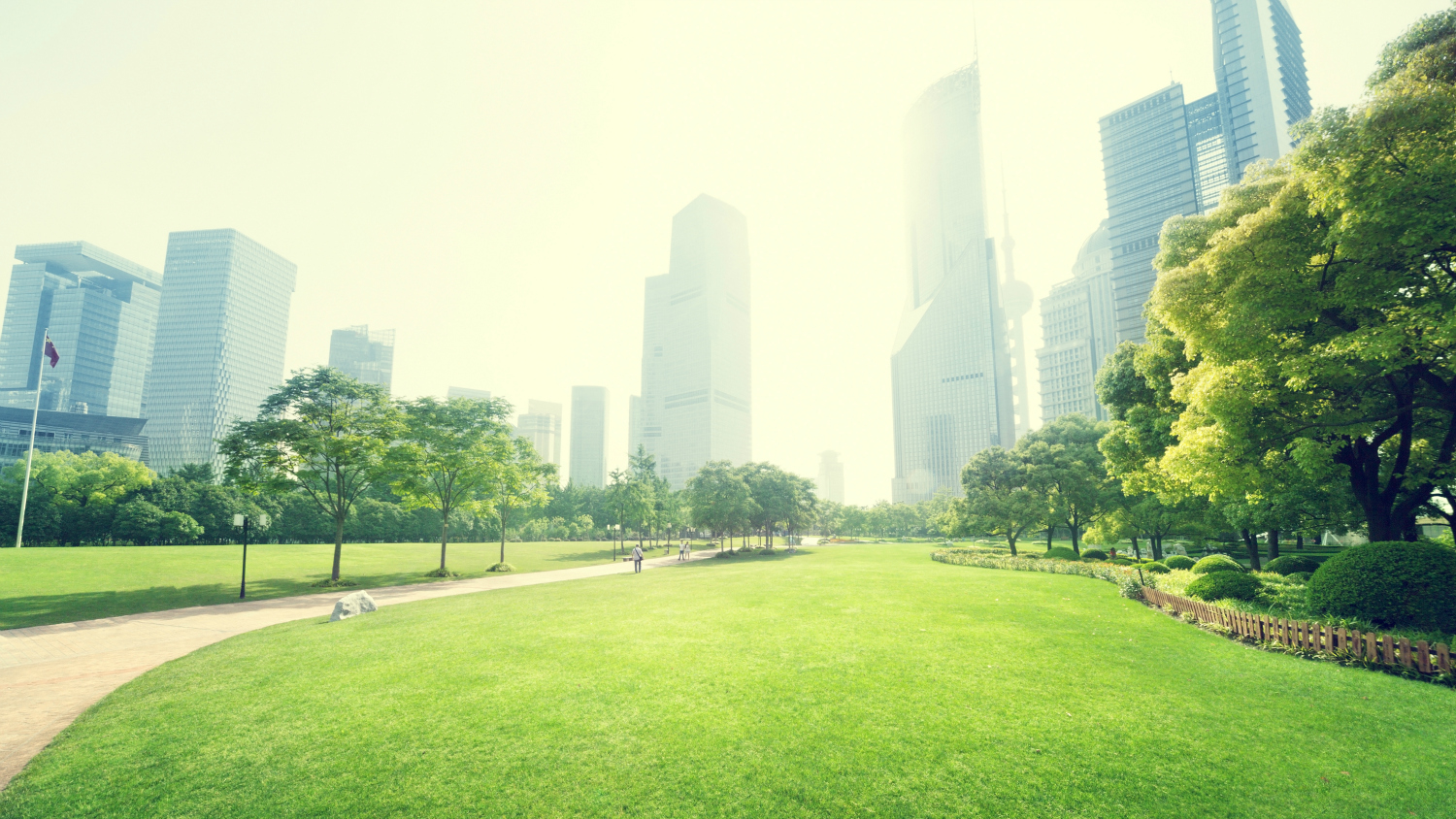 city park and skyscrapers