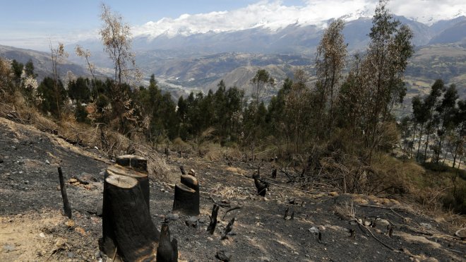 Land cleared in Carhuaz, Peru