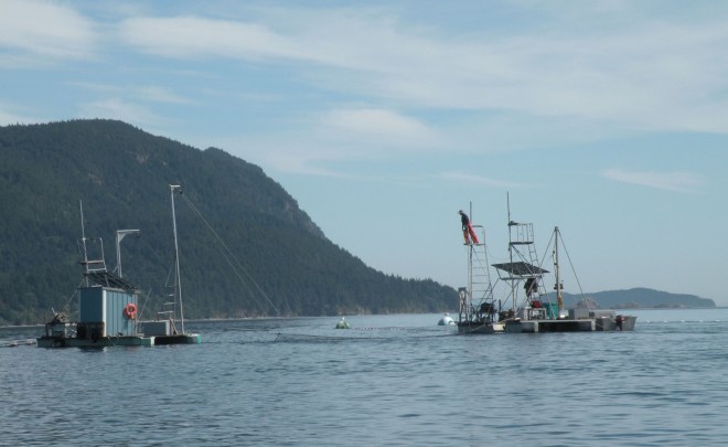 A crew member stands on the perch of a reef-net fishing gear peering into the water for approaching salmon.