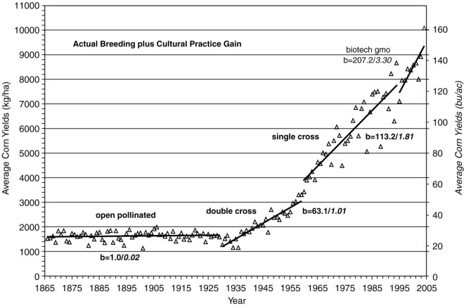 corn hybrid yields