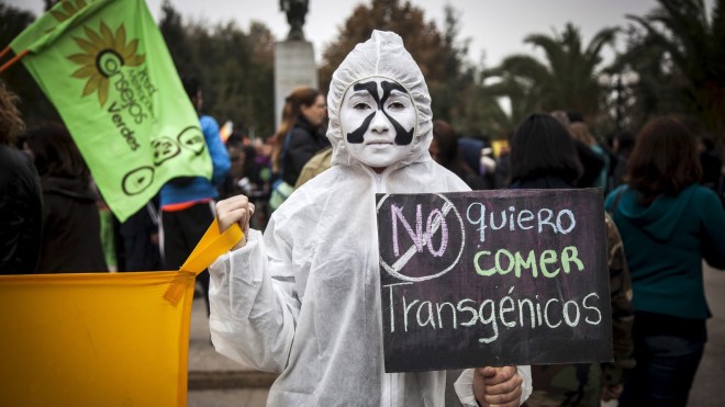 A demonstrator holds up a banner that reads "I dont want to eat transgenics" 