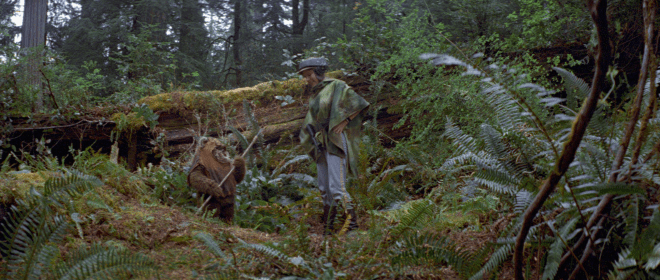 Princess Leia (Fisher) exchanging some words with an Ewok in "Return of the Jedi."