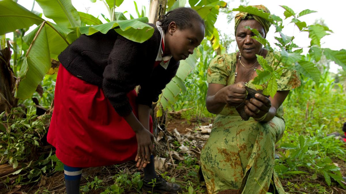 woman and girl planting tree