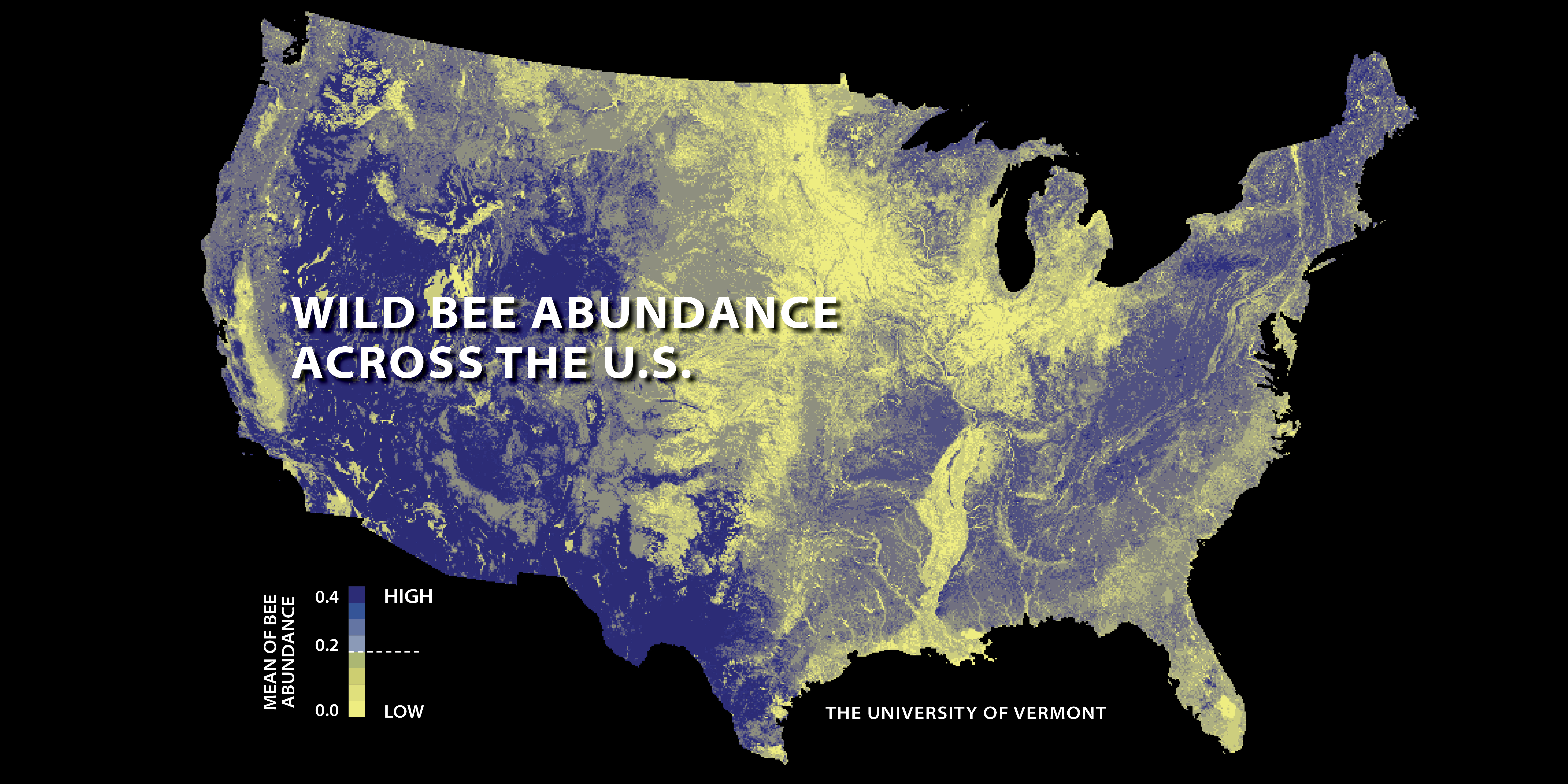 wild-bee-abundance-across-the-us_23525455359_o