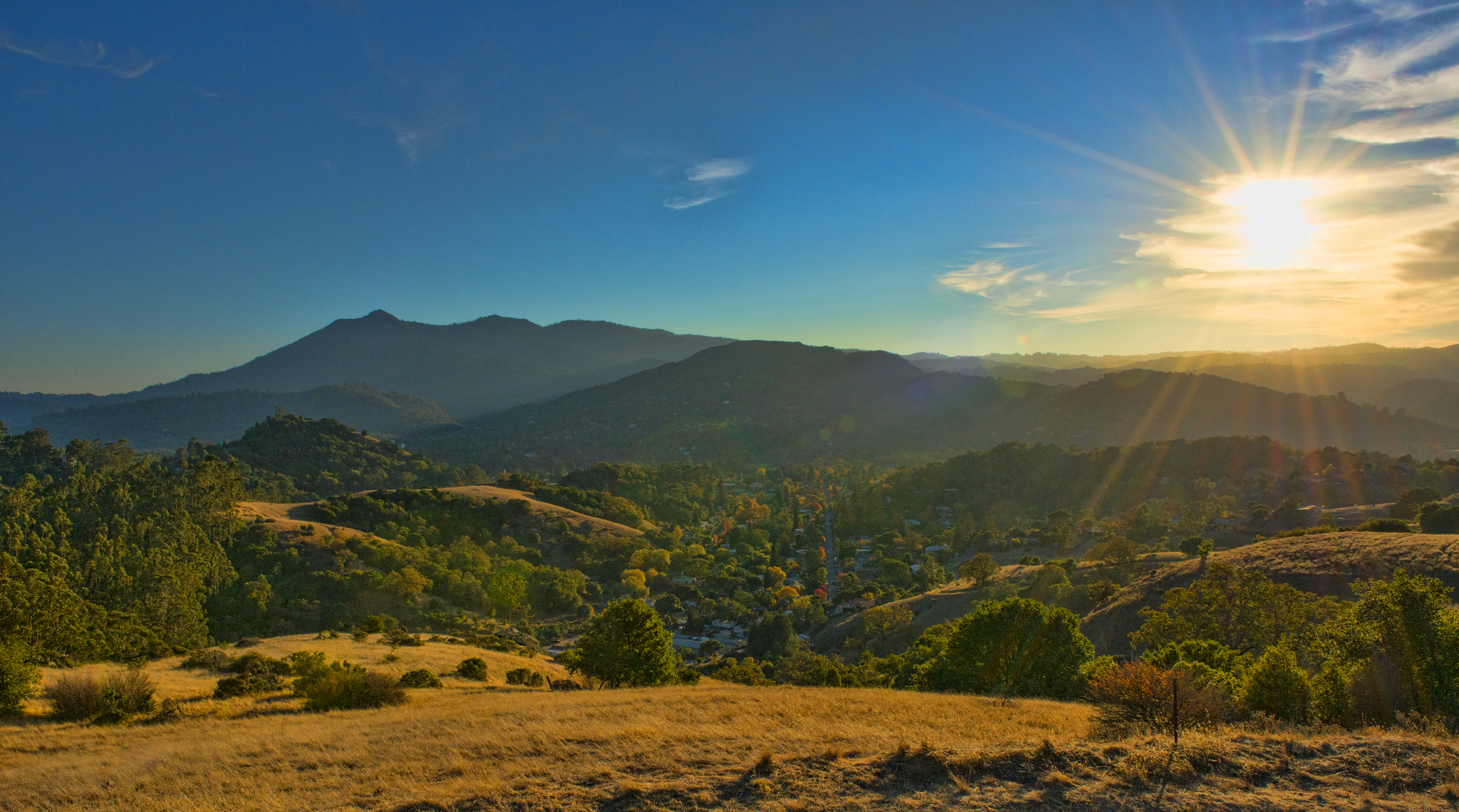 Mount Tamalpais