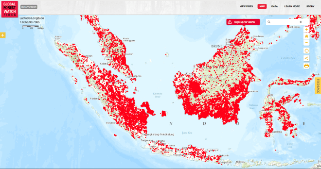 Fires in 2015