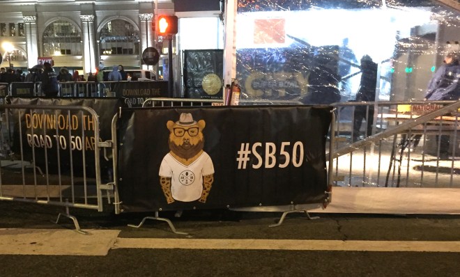 superbowl bear sb50