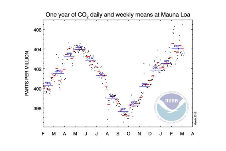 carbon Mauna Loa