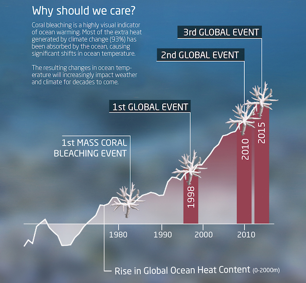 coral bleaching