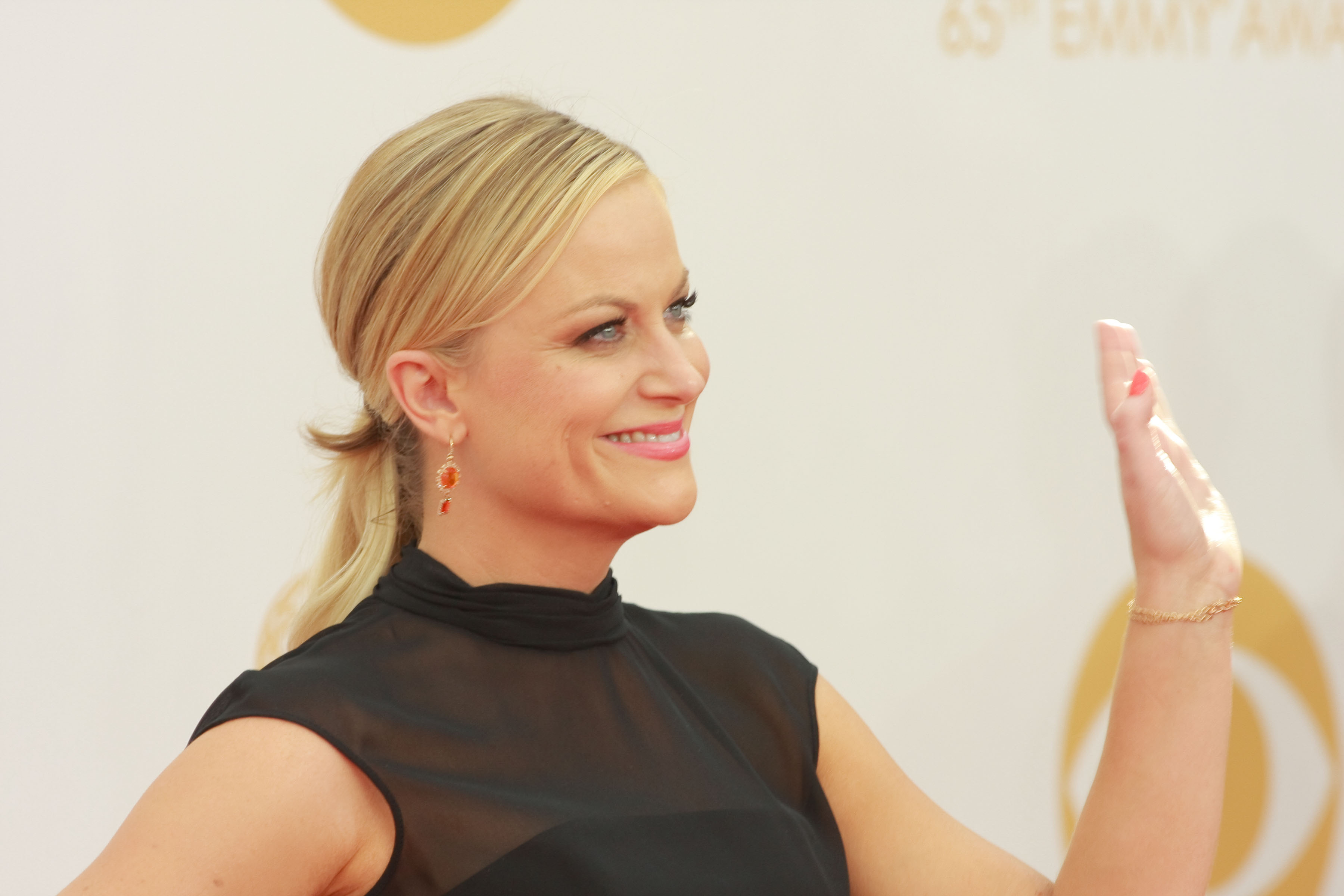 amy poehler