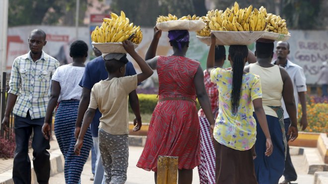 Uganda women carry bananas