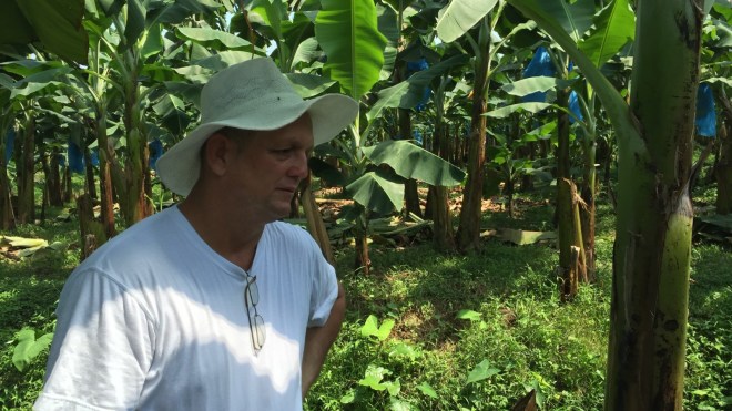 Marcos Brenes in the banana plantation costa rica