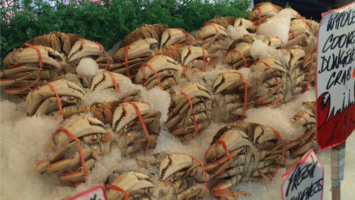 Dungeness crabs for sale in Seattle.