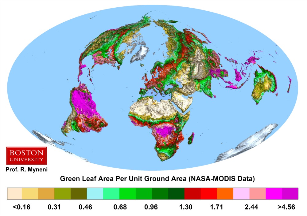 Map showing vegetation across the globe.