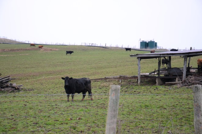 In Cross Creek Township, farming and gas drilling take place side by side.