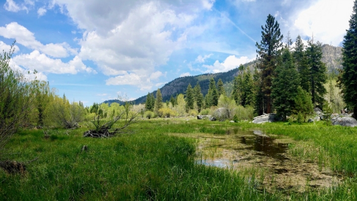 Snow-free conditions in late May near Lake Tahoe in the northern Sierra Nevada.