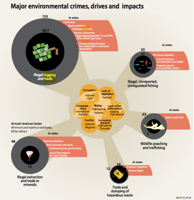 Major Environmental Crimes