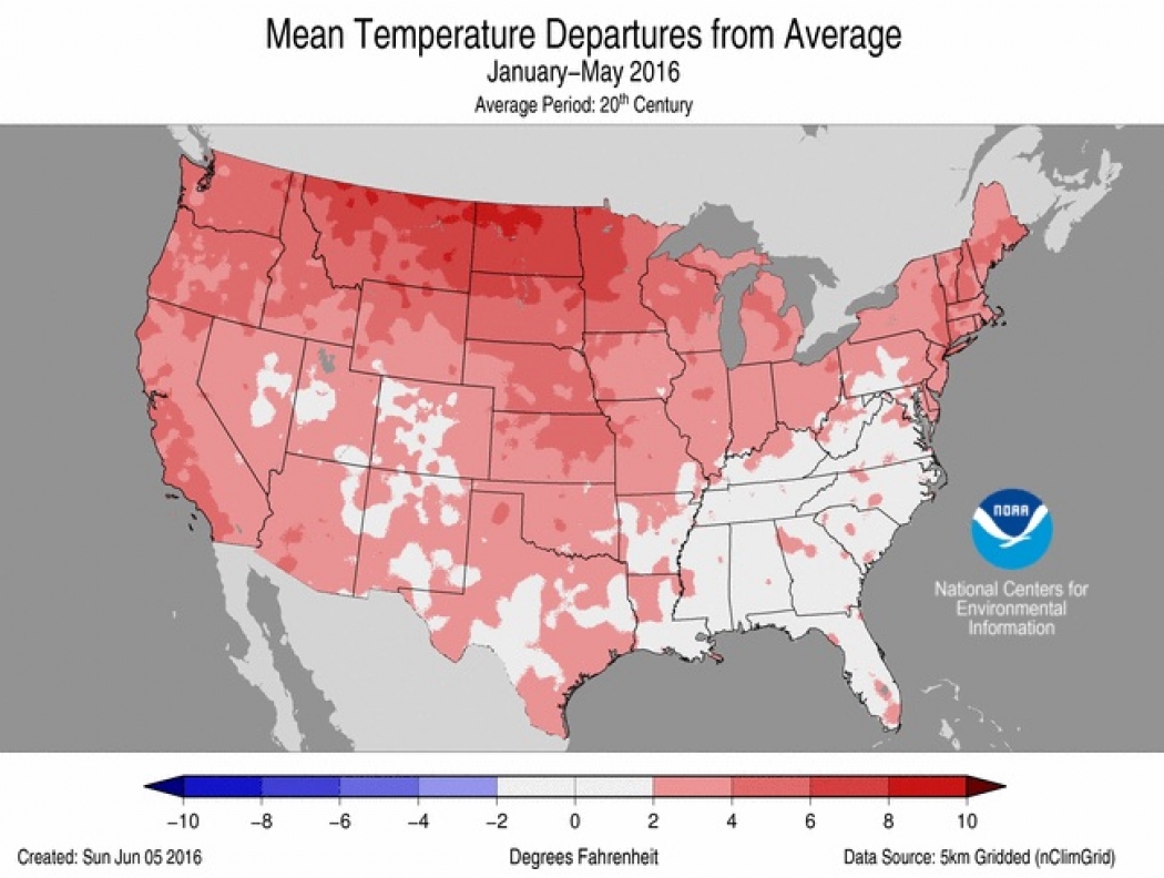 Year-to-date temperature anomalies across the contiguous U.S.