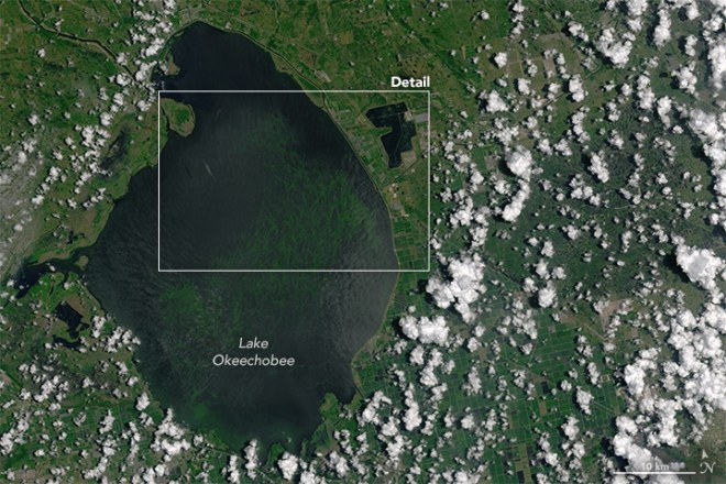 The algae bloom had reached nearly 240 square miles by mid-July. This satellite photo was taken on July 2, 2016. 