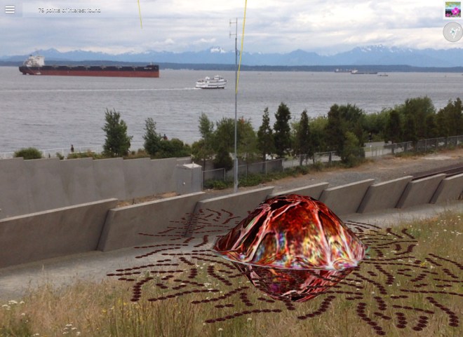 Red algae floating alongside the Puget Sound.