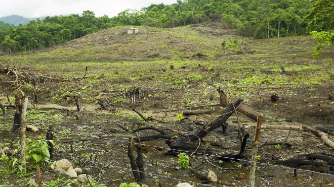 Deforestation in Ecuador. 