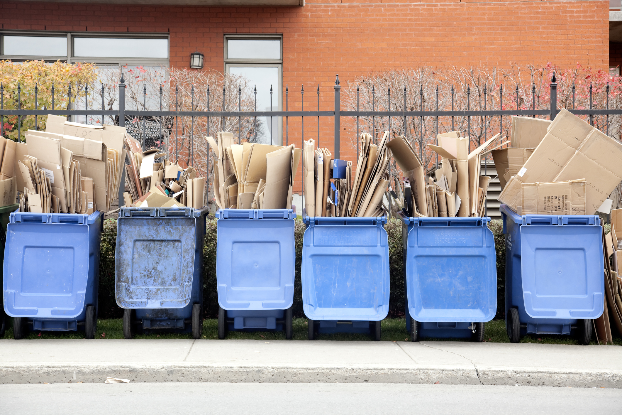 Six recycle bins overflowing with cardboard.