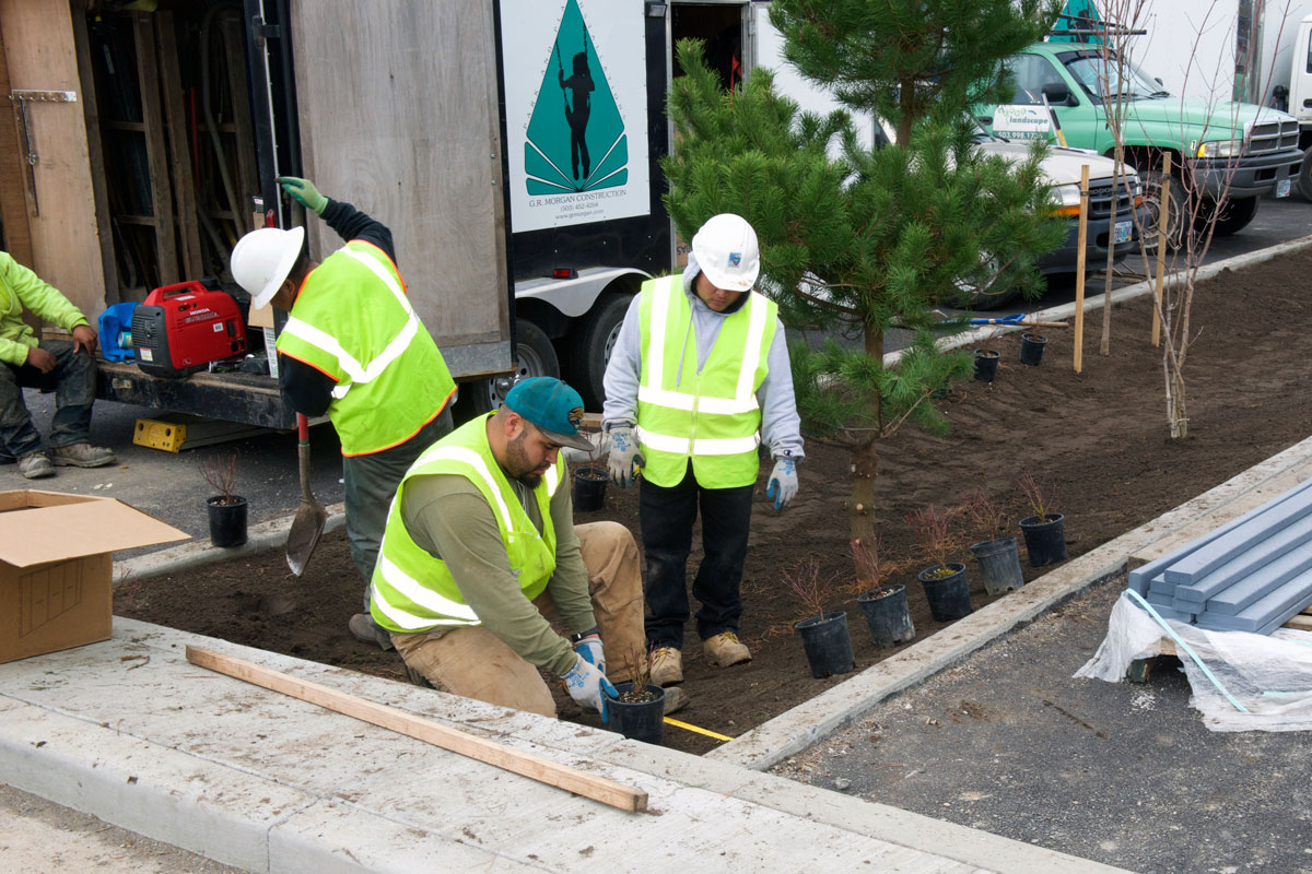 Now a landscape crew supervisor, Mateo Fletes, center, has specialized in habitat restoration at Verde Landscaping.