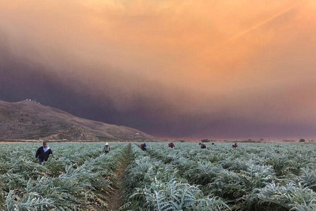 Farmworkers Woolsey Fire