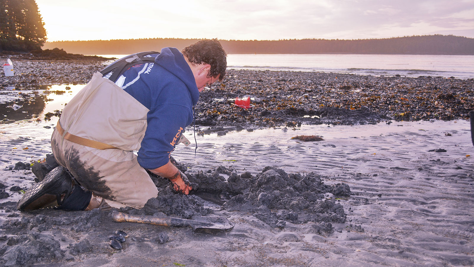 clam digging