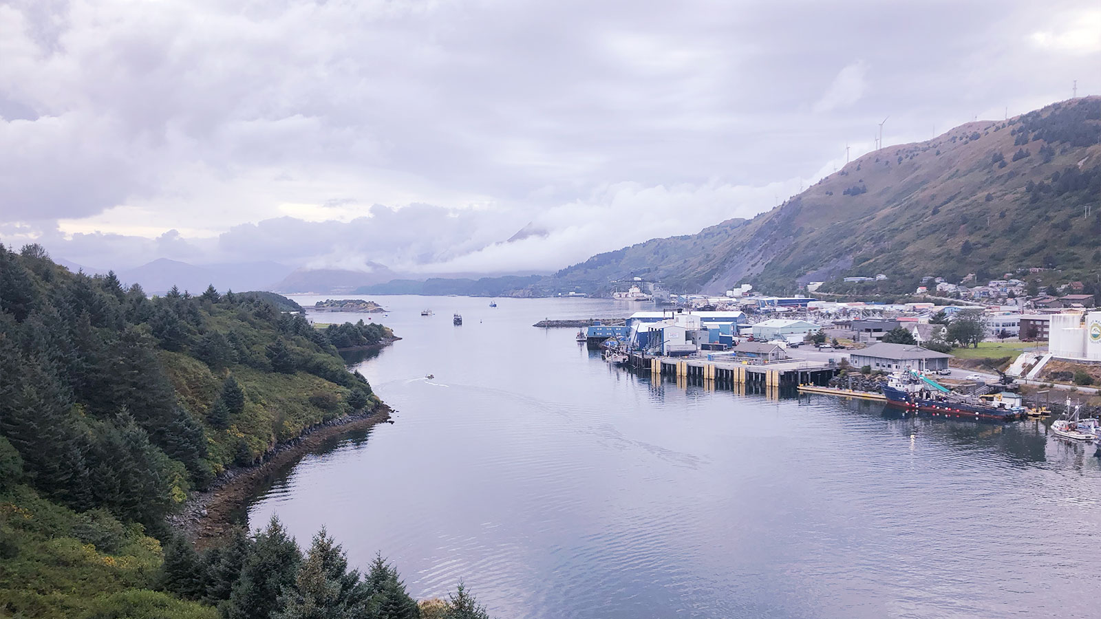 Harbor on Kodiak